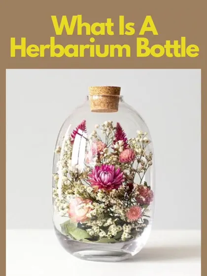 What is a Herbarium Bottle? This post explains the beautiful Japanese technique of preserving dried flowers in oil, a timeless way to capture the beauty of nature.