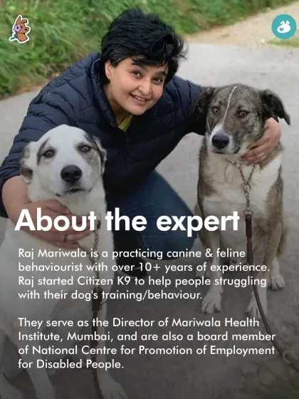 We regularly host classes with veteran animal welfare experts like Raj Mariwala. This session focused on caring for community dogs, covering topics like natural behaviors, feeding laws, and conflict management to empower caretakers.
