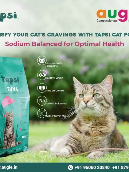 Tapsi Tuna cat food is another great option for satisfying your cat's cravings while supporting their health. It's sodium-balanced and includes L-Carnitine to help with fat metabolism.