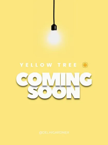 Our "Coming Soon" announcement for the Yellow Tree Banquets project, signaling the start of an exciting new landscaping venture.
