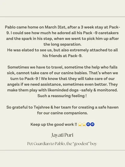Nothing makes me prouder than hearing from happy guardians. This wonderful review from Pablo's family is a testament to our safe, structured, and loving environment at the Pack-9 center. We are your dog's home away from home.