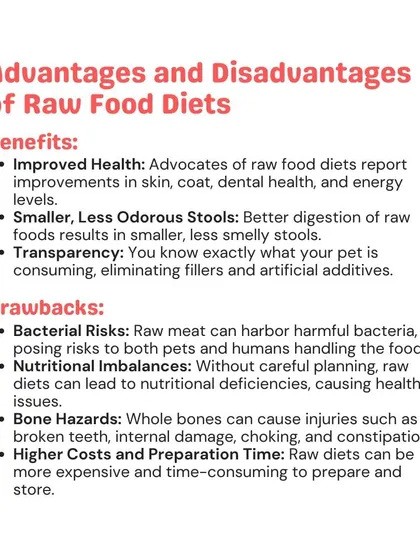 The raw food diet is a popular topic, and it's important to understand both the benefits and the risks. I provide balanced, factual advice to help you make the best nutritional choices for your pet.
