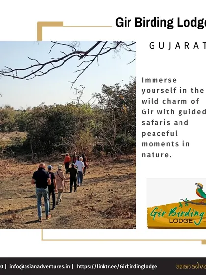 A guided walk in progress at our Gir Birding Lodge in Gujarat. While this is one of our lodges, the image captures the essence of our guided nature walks, which are central to all our experiences.