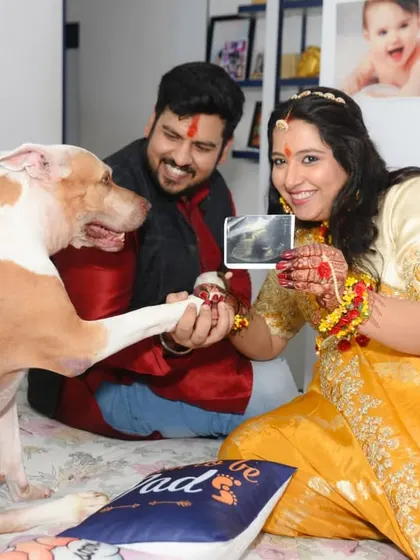 A candid moment from an in-home baby shower session, where the family dog gives a paw-shake to the ultrasound picture.
