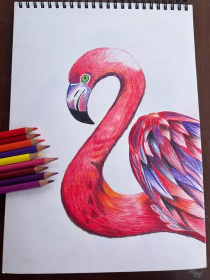 A flat lay of the finished flamingo drawing next to the colored pencils used to create it, highlighting the tools of the trade.