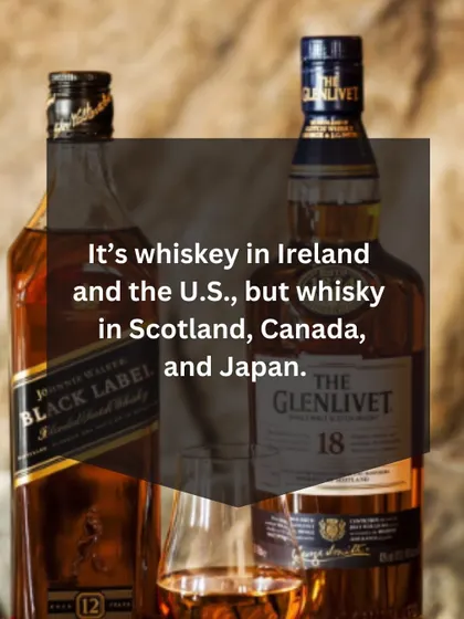 Whiskey or Whisky? We explain the spelling difference between countries, a small but important detail for any serious bartender to know.
