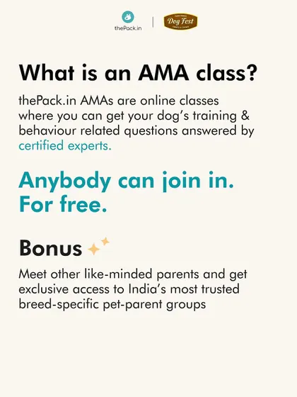 These free online sessions are supported by our official treats partner, Dog Fest, helping us make expert advice accessible to all pet parents.