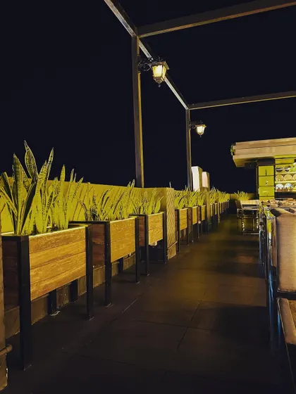 A row of tall snake plants in wooden planters lines the edge of the rooftop, creating a natural barrier and adding a strong vertical element to the design.