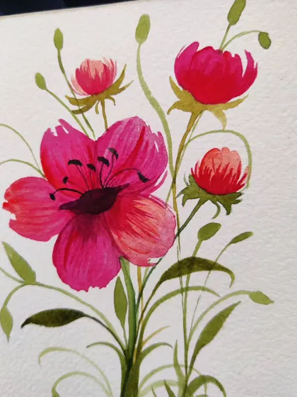 A simple composition of pink cosmos flowers. Sometimes focusing on just one type of flower can be a great learning exercise.