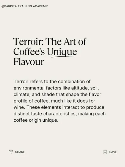 A text-based explanation of terroir, comparing it to the same concept in wine. It's what makes each coffee origin unique.