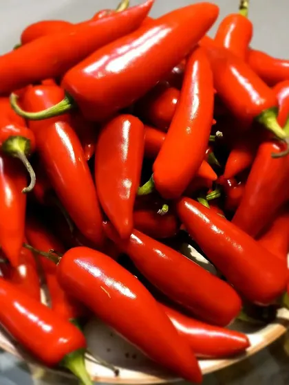 A final look at the raw ingredients. This is the quality that goes into every jar of my Red Chilli Pickle.