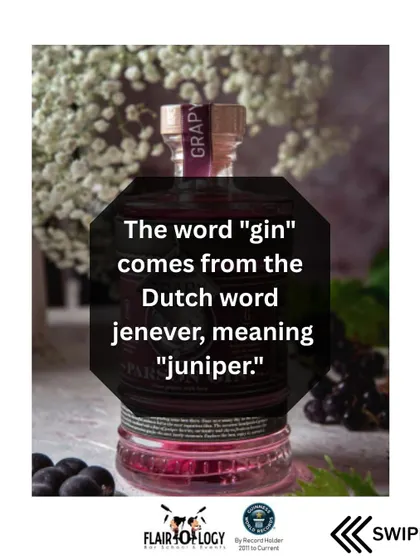 The word "gin" comes from the Dutch word "jenever," meaning juniper. We trace the origins of spirits to give our students a complete understanding of what they are serving.