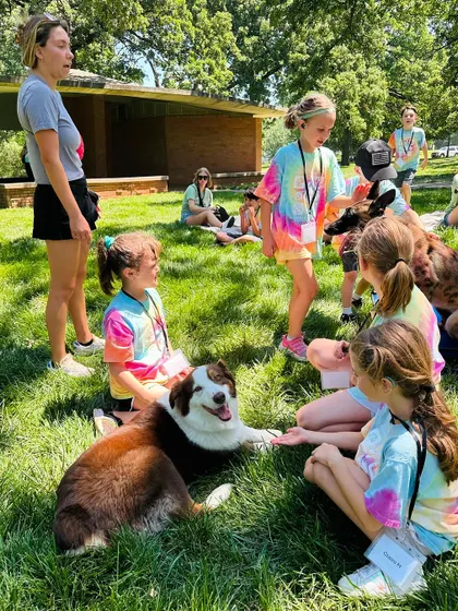 A therapy dog getting gentle pets from children at a community event. This is what it's all about.