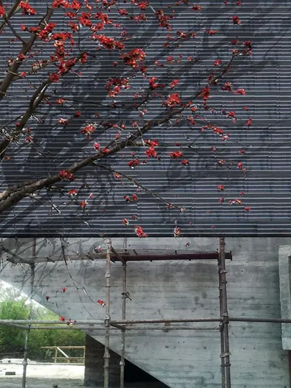 The exterior of the Rhizome House under construction, showing the contrast between the raw concrete base and the newly installed zinc roof panels.