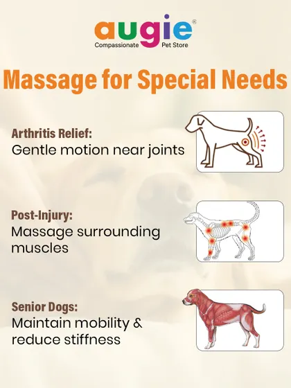 Massage can also be used for special needs. Gentle motion near joints can provide arthritis relief, massaging surrounding muscles can help with post-injury recovery, and it can maintain mobility in senior dogs.