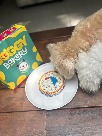 A festive cake just for your furry friend. Our Furry Festive Diya Cake is a beautiful and tasty way to light up your dog's Diwali celebration.