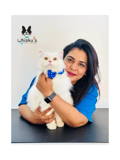 Another shot with Cuddly. Building a bond with cats is essential for a successful grooming session. He trusts me completely.