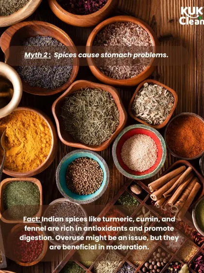 Myth: Spices cause stomach problems. Fact: Indian spices like turmeric and cumin are rich in antioxidants and actually promote digestion when used in moderation.