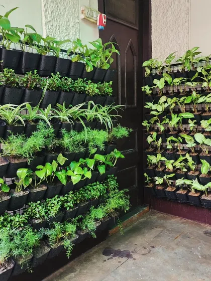 A dual-panel vertical garden installed around a corner, maximizing green space in a compact area.