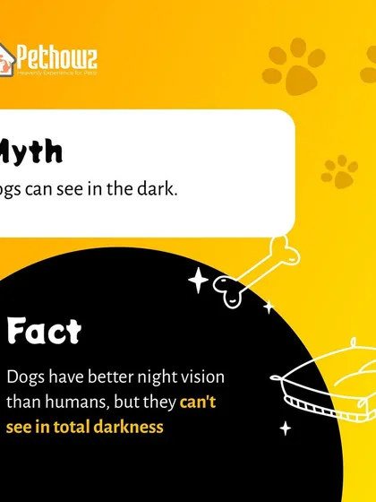 It's a common myth that dogs can see in total darkness. This fact sheet clarifies that while dogs have better night vision than humans, they still need some light to see.