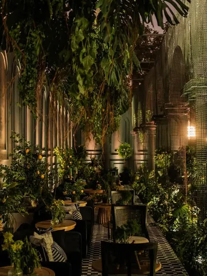 A long view of the seating gallery, showing how the combination of dark structures, greenery, and lighting created a truly unique environment.