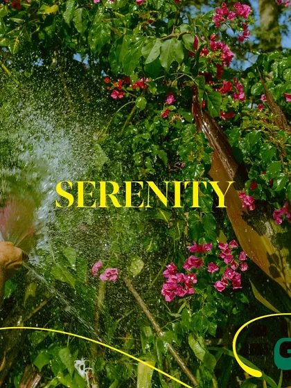 We keep our gardens thriving to ensure the vibe is always fresh and serene for you.
