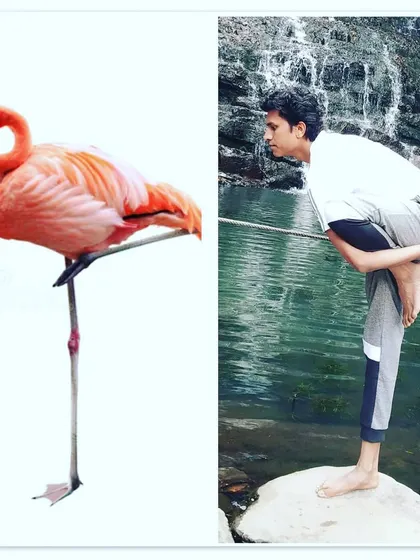 This variation of Marichyasana, resembling a Flamingo Pose, is an advanced balancing posture that requires focus and core engagement. It strengthens the standing leg and improves concentration, much like the bird it is named after.