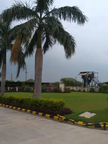 A view across the expansive lawn of a commercial facility, framed by a line of mature palm trees. We specialize in maintaining large turf areas to ensure they remain green and uniform.