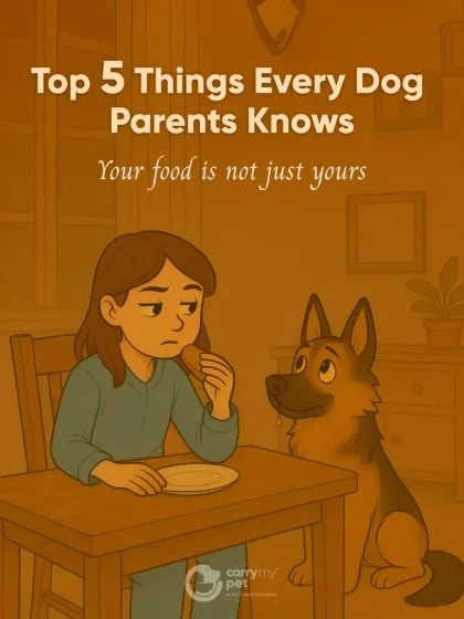Life with a dog means your food is never just yours. Those puppy-dog eyes are expert negotiators at the dinner table.