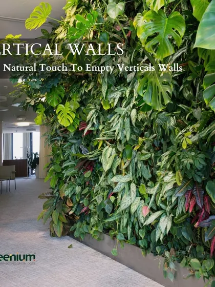 Give a natural touch to empty vertical walls. This dense, leafy green wall, featuring large Monstera leaves, adds a dramatic and tropical feel to this commercial hallway, making the space feel more alive.
