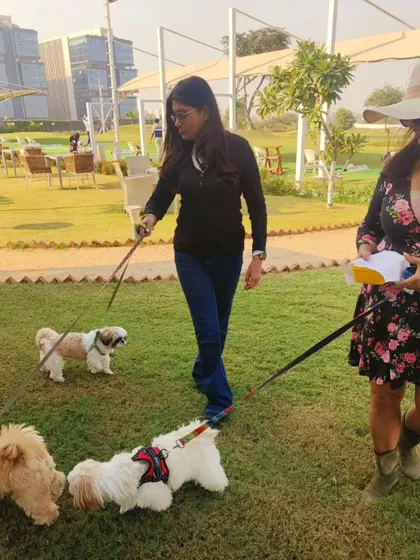 Taking the dogs for a walk around the property. There's plenty of space for your pets to stretch their legs and explore.