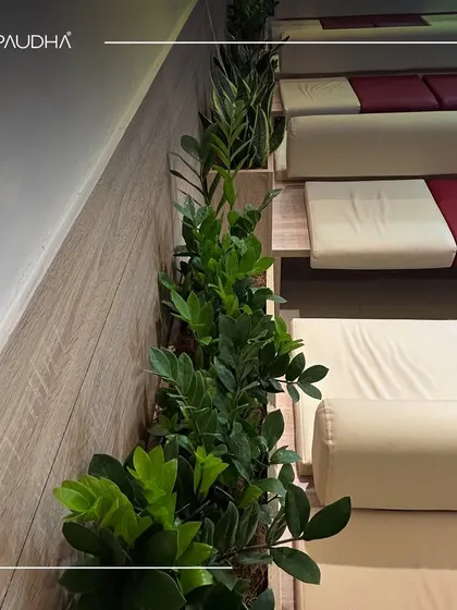 This image shows the seating arrangement in a wellness center's waiting area. The planters are used to create a sense of separation and privacy while maintaining an open and airy feel.