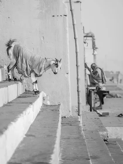 A series of portraits and street scenes from the ghats and alleyways of Varanasi. They feature locals, pilgrims, animals, and the photographer himself, painting a rich picture of daily life.