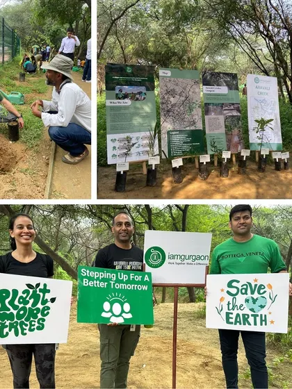 A collage highlighting the educational aspect of the Fidelity drive, with our expert explaining the importance of native species before the team gets to work.