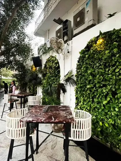 Another view of the living arches at Diablo, showing how they create a beautiful backdrop for the outdoor seating area.