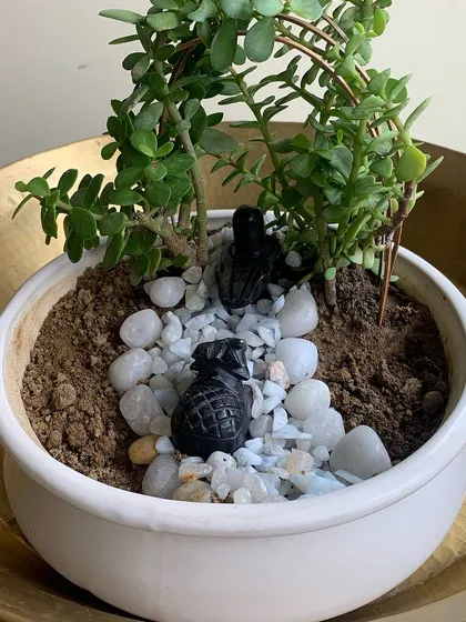 Another take on the miniature garden, this time creating a tiny landscape with a pebble river and lush Jade plants. These small-scale projects are a great way to practice mindfulness.
