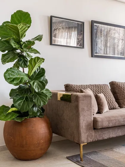 We love bringing warmth into a living room with soft brown tones and subtle gold highlights. The plush velvet couch and a large fiddle-leaf fig in a copper planter make this the perfect corner to relax and snuggle up.