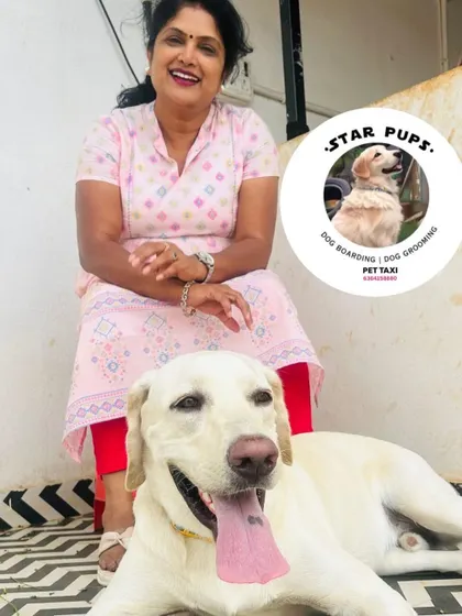 A happy Labrador relaxing with me. These friendly and outgoing dogs always brighten my day.