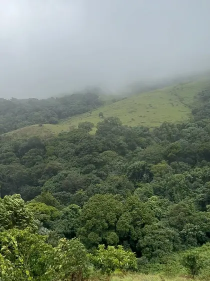 The dense, misty forests of the Chikmagalur region create a mysterious and enchanting atmosphere for our treks.