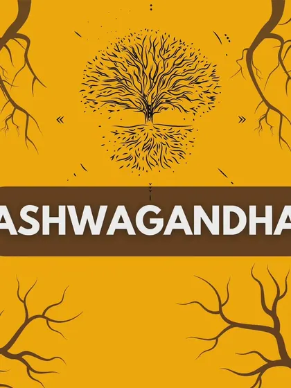 Ashwagandha is an adaptogenic herb that can significantly increase muscle mass and strength while reducing body fat. I incorporate it into client plans to accelerate results naturally.