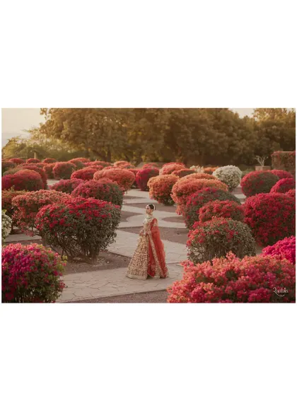 The bride stands alone in a maze of vibrant bougainvillea at Umaid Bhawan Palace, a breathtaking and colorful bridal portrait.