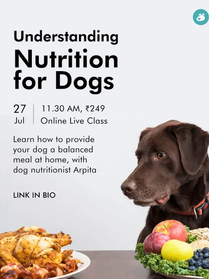 Still guessing what to put in your dog's bowl? Our live nutrition class with expert Arpita Thakur will help you decode what a balanced meal really looks like and bust common myths about dog food.