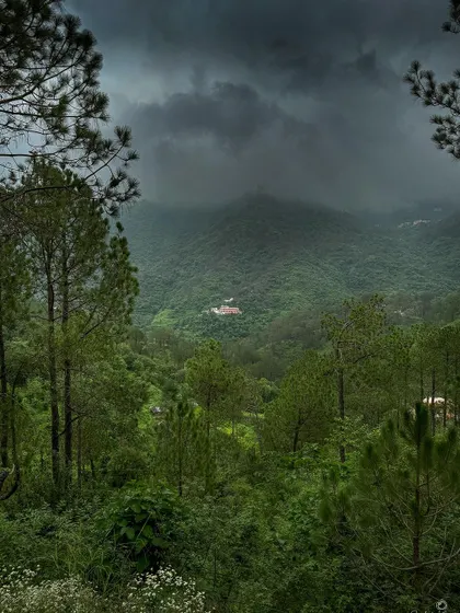 The deep green valleys of Uttarakhand under a blanket of dramatic, moody clouds. This shot, taken on my iPhone, shows that the most powerful landscapes don't always need bright sunshine; sometimes the story is in the storm.