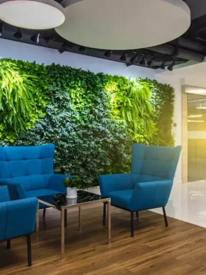 We transformed this corporate waiting area into a vibrant and welcoming space with a floor-to-ceiling living wall. This installation not only serves as a stunning visual centerpiece but also actively purifies the air, creating a healthier environment for visitors and staff.