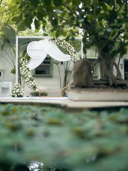 Even in a simple, natural setting, I can create a stunning focal point. This circular arch adorned with white roses and flowing fabric provides a minimalist yet elegant backdrop for an outdoor ceremony.