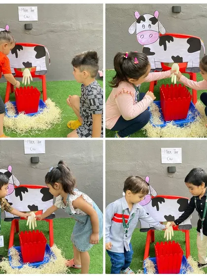 More fun on the farm. This collage shows the enthusiasm of our students as they engage in the cow-milking activity, a highlight of our animal-themed lessons.