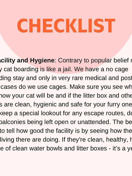 A good boarding facility should be a clean, safe, cage-free home, not a jail. Always check for hygiene, escape routes, and see how the resident cats are doing.