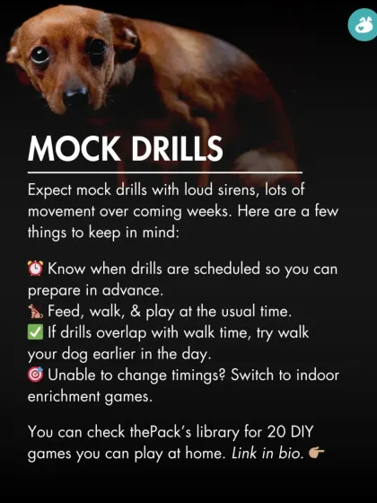 Prepare for mock drills. Knowing the schedule in advance allows you to adjust your dog's routine and minimize their stress from loud sirens.