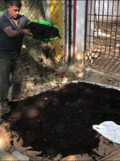 This is the beautiful result of community composting. A volunteer is seen sieving a large pile of rich, dark compost, ready to be used to enrich the soil. It is a labor of love for the environment.