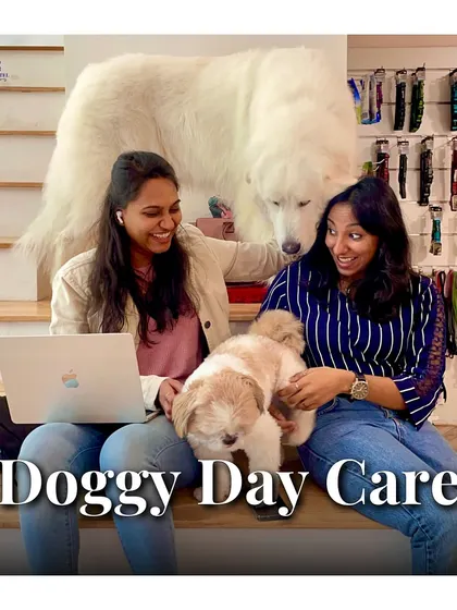 Our Doggy Daycare is a social hub for pets and people. Here, pet parents can relax or work while their dogs play and interact in a safe, supervised environment.